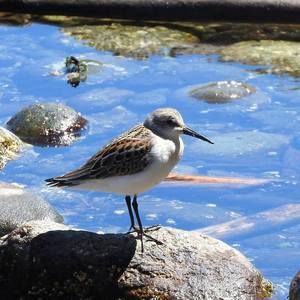 Meet your Posher, Elke